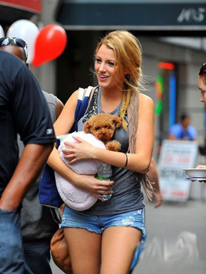 ���Ǵ�����(��i)֮��(c��)�p�l(f��)�� 