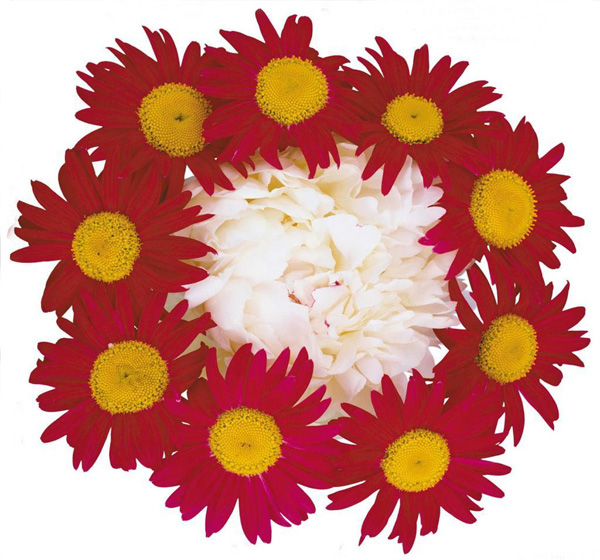 教情侶在七夕如何送禮物