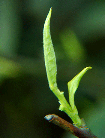 ���~������ϵ�