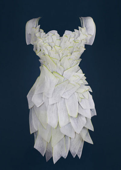 ��ʳ�����ɵ��@�G���b