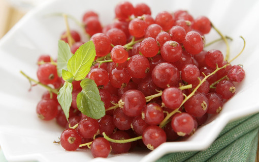 �����������ˮ������