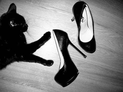 �߸�Ь���_���ϵă���