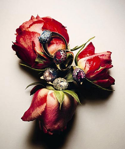 �i���錚 �����錚�OӋ�󎟽���֮��