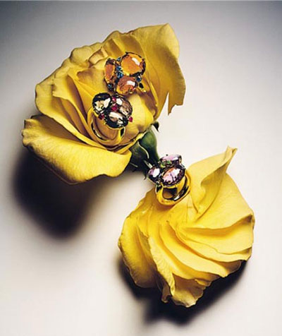 �i���錚 �����錚�OӋ�󎟽���֮��