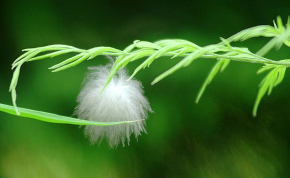 放棄也是一種快樂