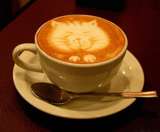 Ư���Ŀ�������ˇ�g