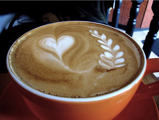 Ư���Ŀ�������ˇ�g