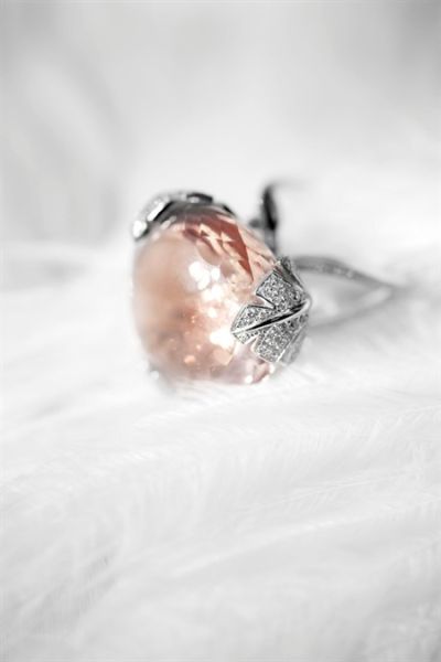 �p���w�P(y��ng) ���΃�����ë��ϵ��피�(j��)�錚