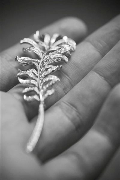 �p���w�P(y��ng) ���΃�����ë��ϵ��피�(j��)�錚