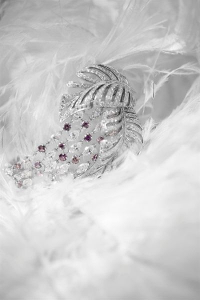 �p���w�P(y��ng) ���΃�����ë��ϵ��피�(j��)�錚