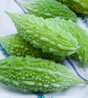 ���ࡱ���� 7���Ϝp��ʳ�V�p10��