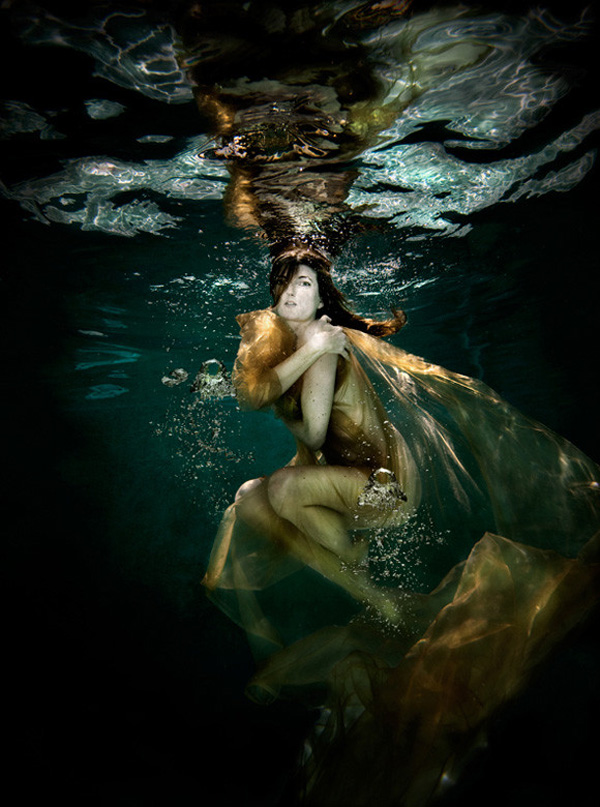 一組令人拍案叫絕的水下攝影