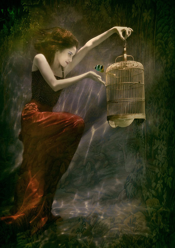 一組令人拍案叫絕的水下攝影