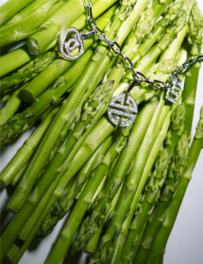 �ļ���� ������͸���錚��Ƭ