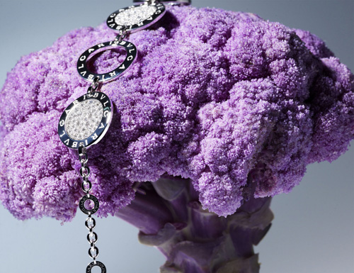 �ļ���� ������͸���錚��Ƭ