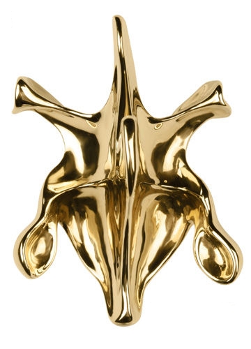 �����`�ӵļo��ϣBlack box ������ö��ָ