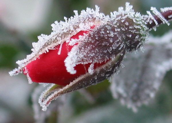 秋雨落窗臺,一片瀟湘在天外