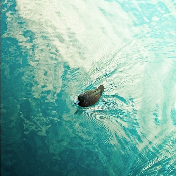 ��Ԋ�㌎�o �����m�zӰ���ľG��