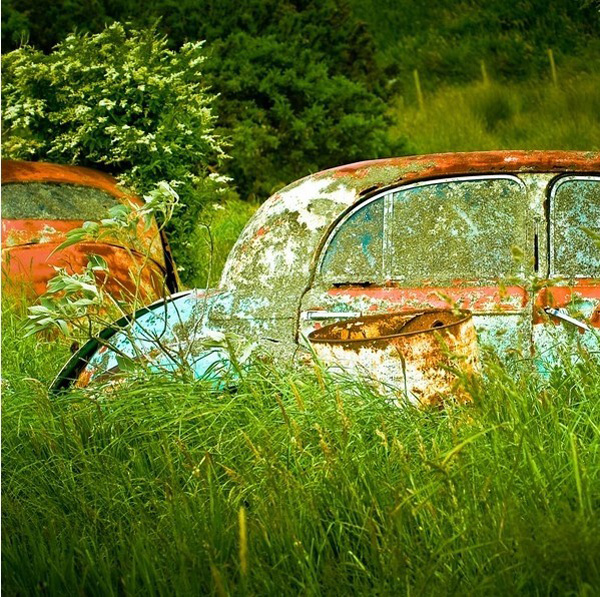 ��Ԋ�㌎�o �����m�zӰ���ľG��