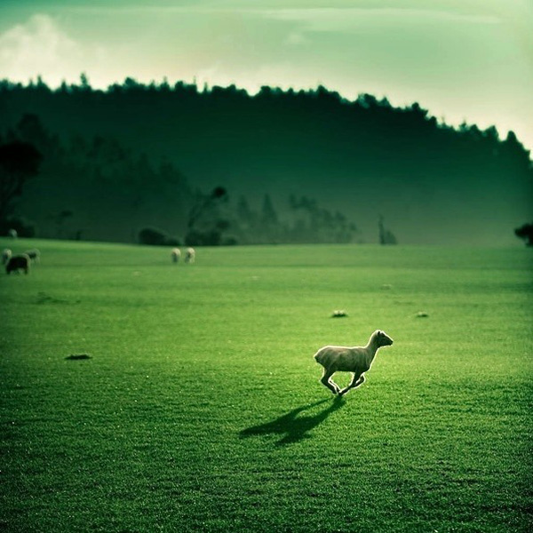 ��Ԋ�㌎�o �����m�zӰ���ľG��