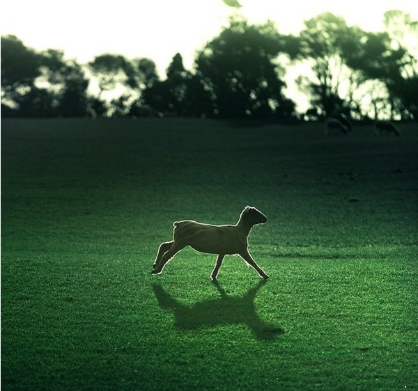 ��Ԋ�㌎�o �����m�zӰ���ľG��