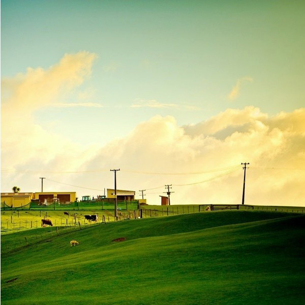 ��Ԋ�㌎�o �����m�zӰ���ľG��