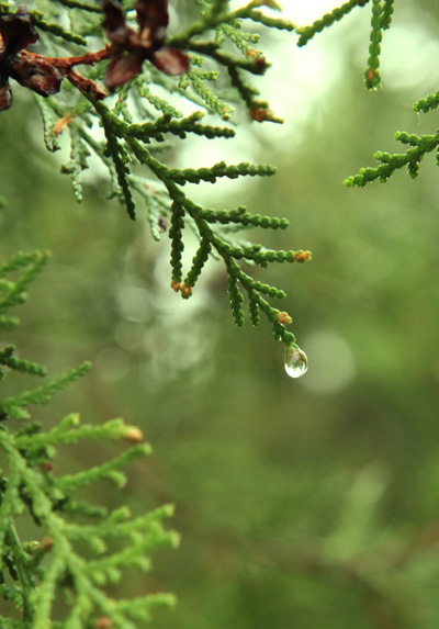 �����w�����m������