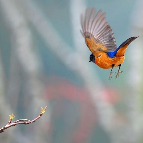 �������B ��ŭ��С�BҲ���^���