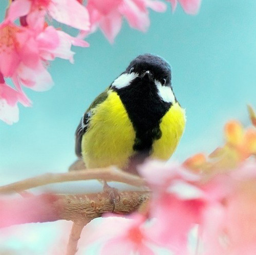 �������B ��ŭ��С�BҲ���^���