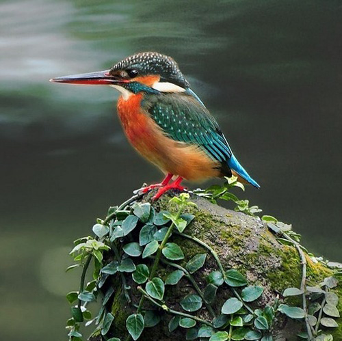 �������B ��ŭ��С�BҲ���^���