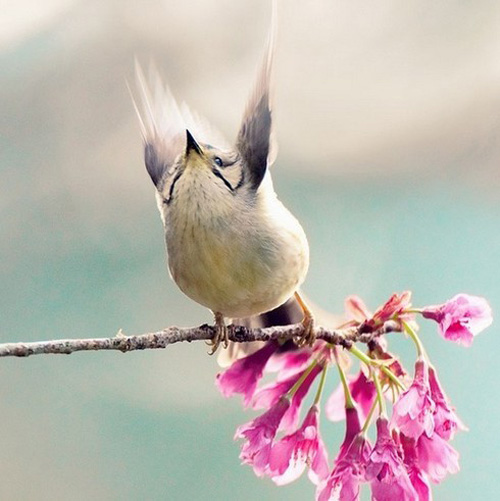 �������B ��ŭ��С�BҲ���^���