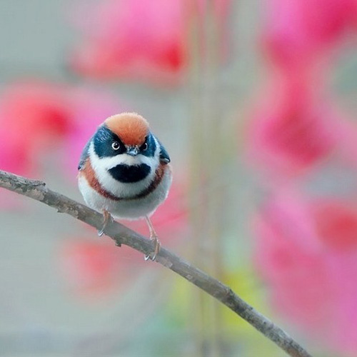 �������B ��ŭ��С�BҲ���^���