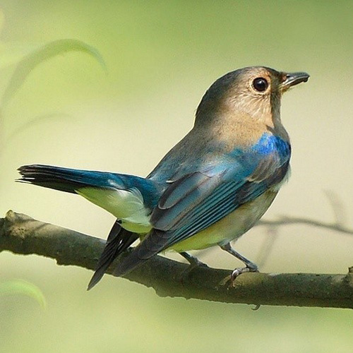 �������B ��ŭ��С�BҲ���^���