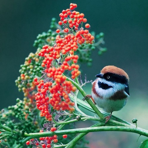 �������B ��ŭ��С�BҲ���^���