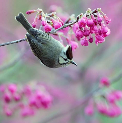 �������B ��ŭ��С�BҲ���^���