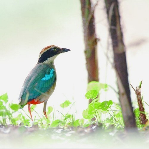 �������B ��ŭ��С�BҲ���^���