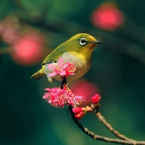 �������B ��ŭ��С�BҲ���^���