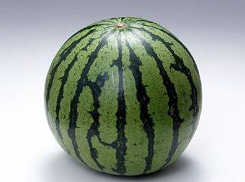 ʡ�XС�[�T ���������o�w