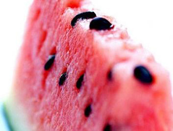 ʡ�XС�[�T ���������o�w