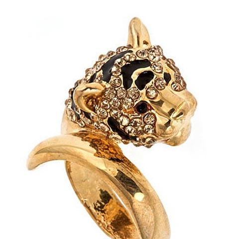 �W���錚�󼯺ϣ���õķ���Ұ����������