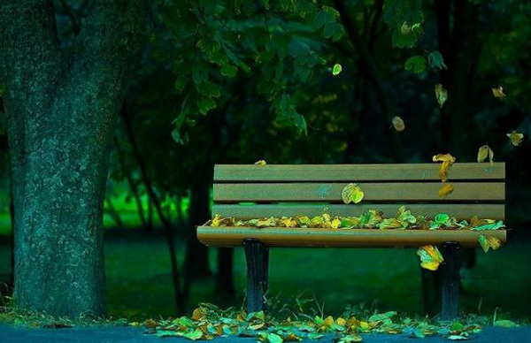 ������������Ґ��^��