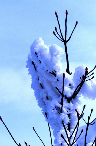 �yһƬ�m������һ������