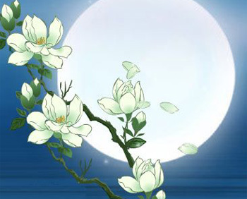 ���﹝(ji��)�ā�v