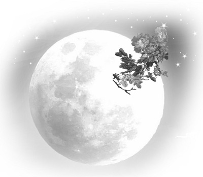 ������˼