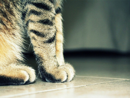 ����߀�����������˰���