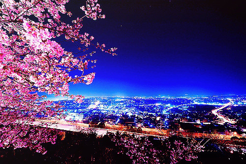 ȥ���аɣ���߀���p��������߀����D��