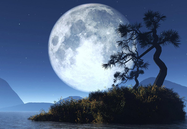 ���﹝�c�������P��8�׹�Ԋ