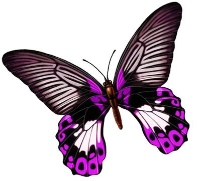 �ϵ����飬ĮȻһ��