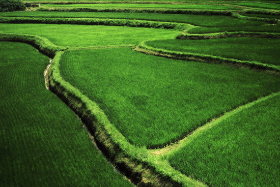 ��Ȼʲô����׌�����Y������