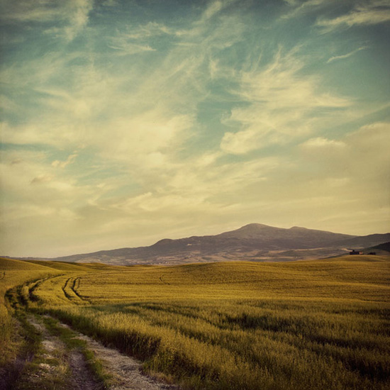 ��Ȼʲô����׌�����Y������